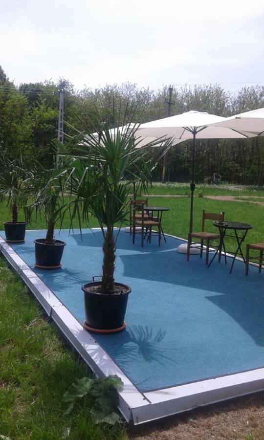 Pensiunea Casa Vanatorului Hotel Oteleni Екстериор снимка